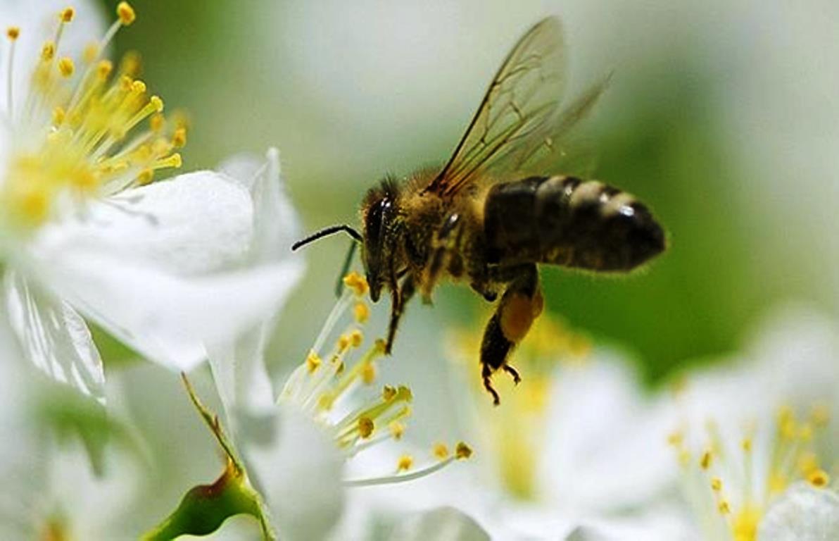 Investigación científica