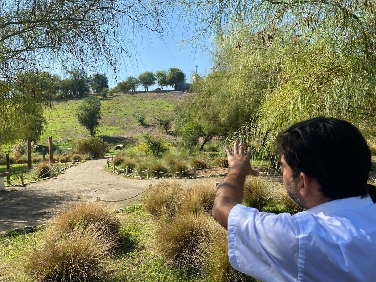 Recorrido por el Bosque Adriana Hoffmann