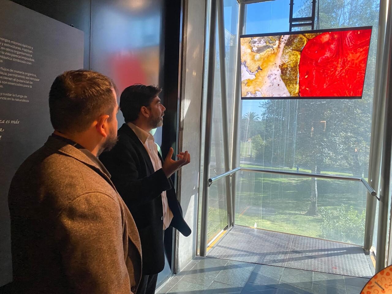 Exhibición sobre funga y biodiversidad