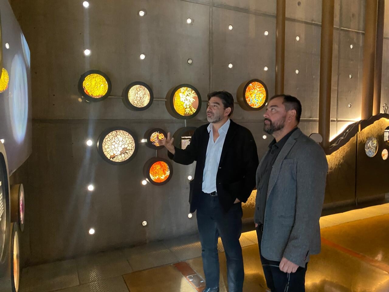 Sala de líquenes en el Museo Interactivo Mirador