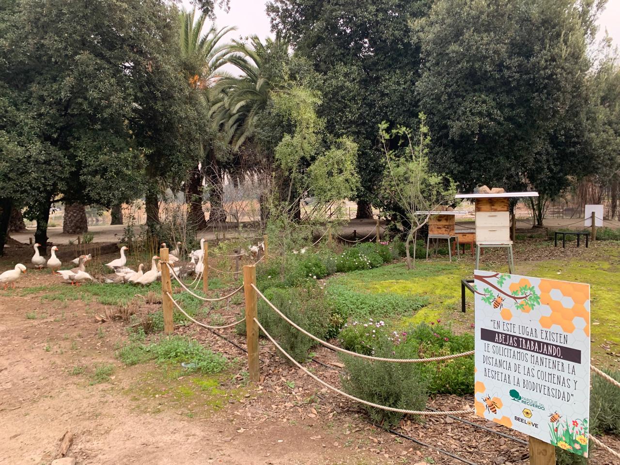 El parque donde las abejas invitan a mirar la naturaleza de otra manera