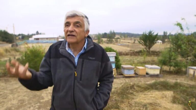 Profesor Fernando Fuentes: “Ese es el camino, aportar Abejas a las Futuras Generaciones que Vienen”.