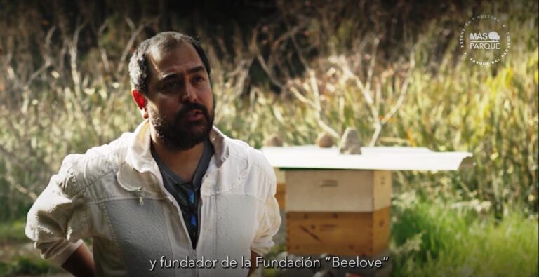 Fundación BeeLove destaca con el primer Apiario Urbano ubicado en un Parque Cementerio de Latinoamérica